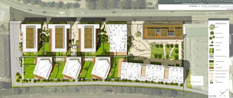 Plan de masse l'Avenue