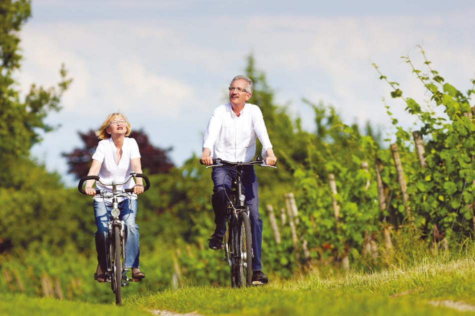 couple-senior-velo-vigne-personnage