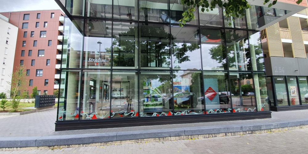 agence-stradim-strasbourg-avenue-colmar