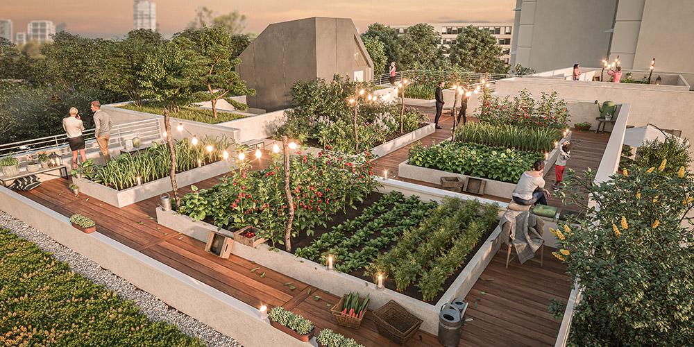 terrasses-jardins-bischheim-stradim-jardin-rooftop