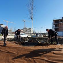 Plantation du 1er arbre - Quai Ouest - Strasbourg