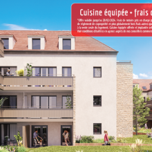 L'Amaryllis L'Amaryllis