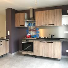 F2 RECENT - RESIDENCE LE VERTIGO - LINGOLSHEIM - LOT 12