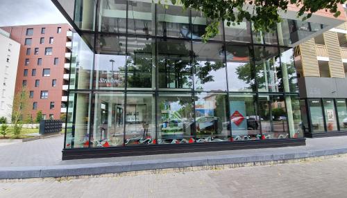 agence-stradim-strasbourg-avenue-colmar