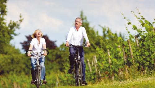couple-senior-velo-vigne-personnage