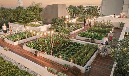 terrasses-jardins-bischheim-stradim-jardin-rooftop